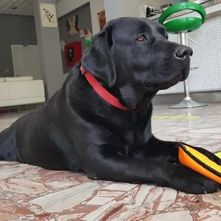 Del Bagnino Hotel 2*