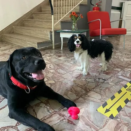 Del Bagnino ホテル リミニ