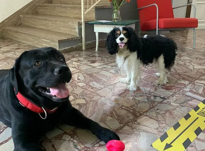 Del Bagnino Hotel Rimini