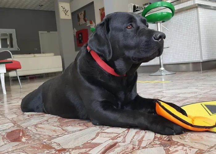 Del Bagnino Отель 2*